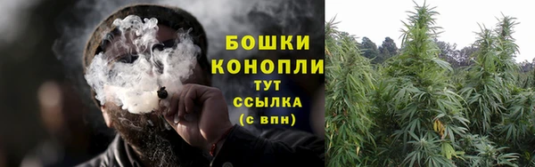 PSILOCYBIN Алзамай
