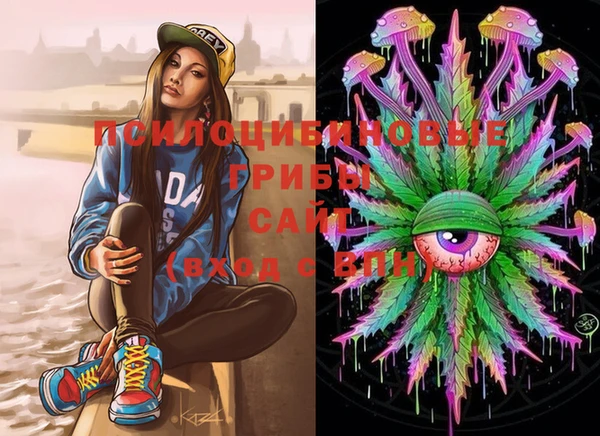 PSILOCYBIN Алзамай