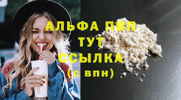 PSILOCYBIN Алзамай