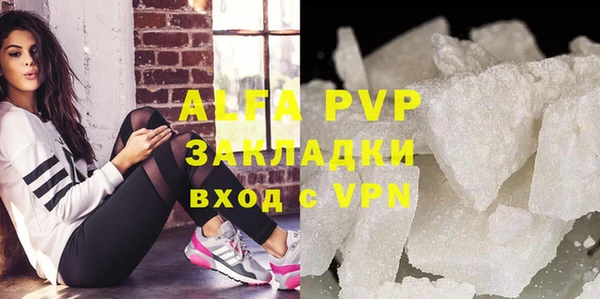 PSILOCYBIN Алзамай