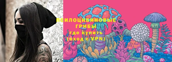 PSILOCYBIN Алзамай