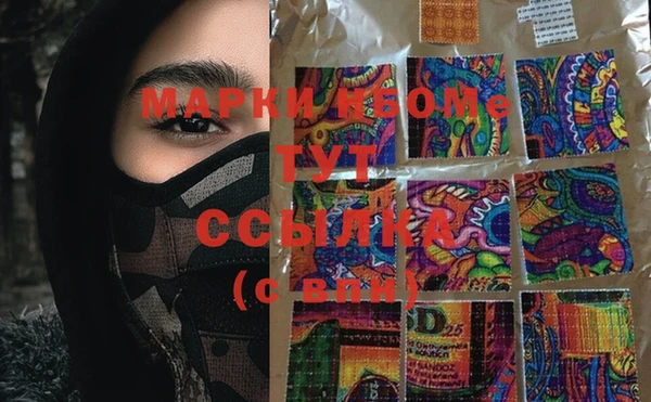 PSILOCYBIN Алзамай