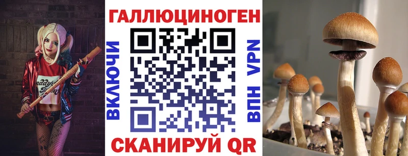 Галлюциногенные грибы ЛСД  где найти наркотики  Алушта 