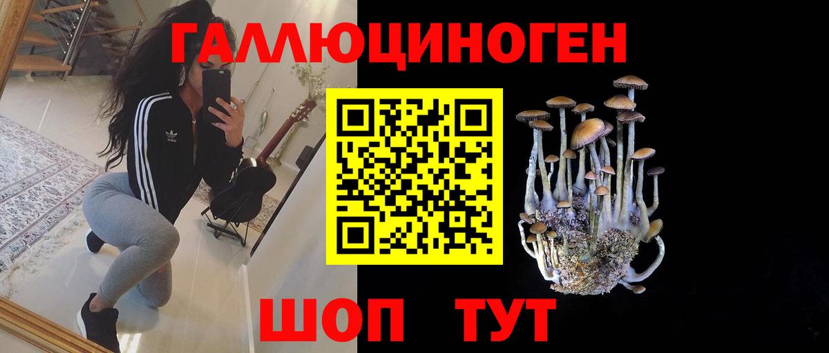 Алушта  Псилоцибиновые грибы Magic Shrooms  Вход с VPN 